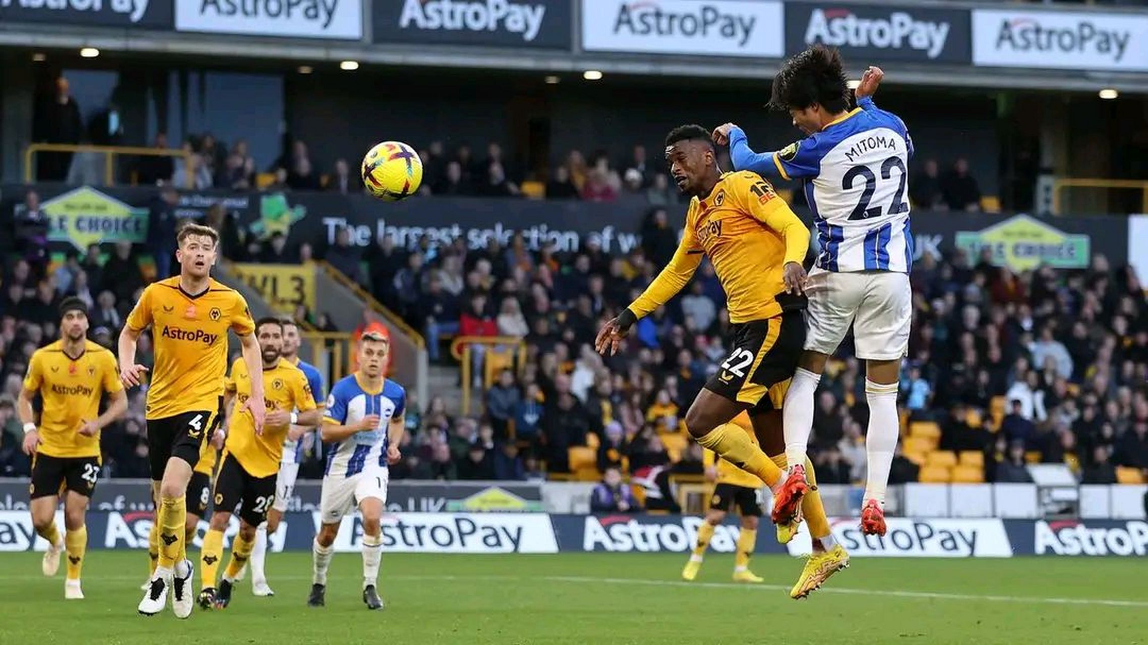 包含布莱顿主场艰难击败对手,保级前景一片明朗的词条 包含布莱顿主场艰难击败对手,保级前景一片明朗的词条